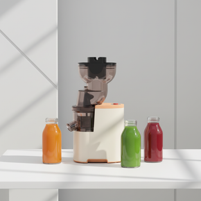 Portable Electric Juicer 250W - Stainless Steel Blade Fruit & Vegetable Juice Extractor with Pulp Separation, Anti-Drip